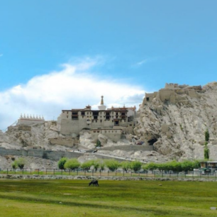 Shey Palace and Monastery