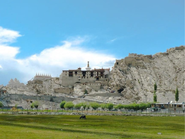 Shey Palace and Monastery