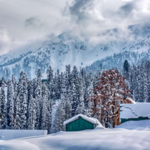Manali