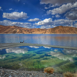 Pangong Tso: A High-Altitude Haven in Ladakh