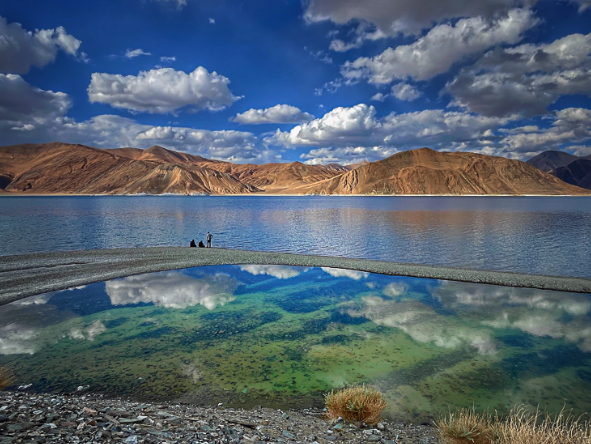Pangong Tso: A High-Altitude Haven in Ladakh